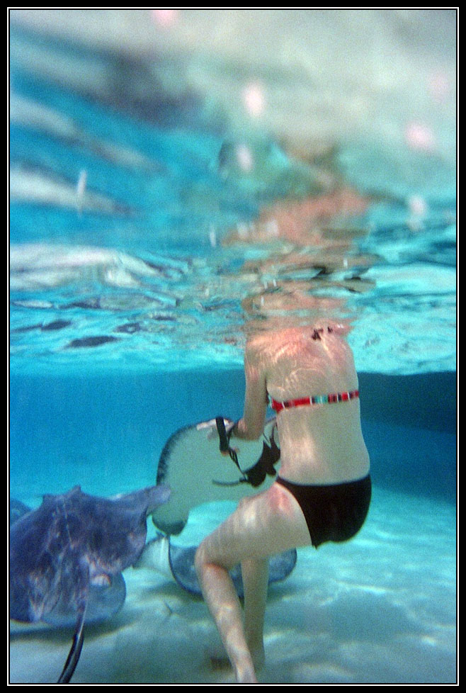 11 View from under the surface